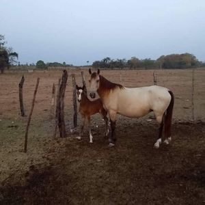 Meet your Posher, Connie